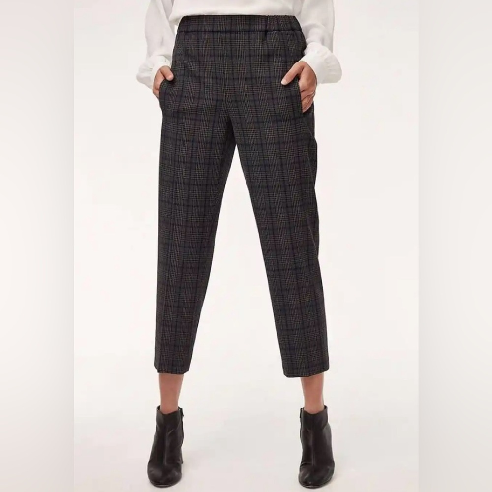 Aritzia Wilfred Darontal pants